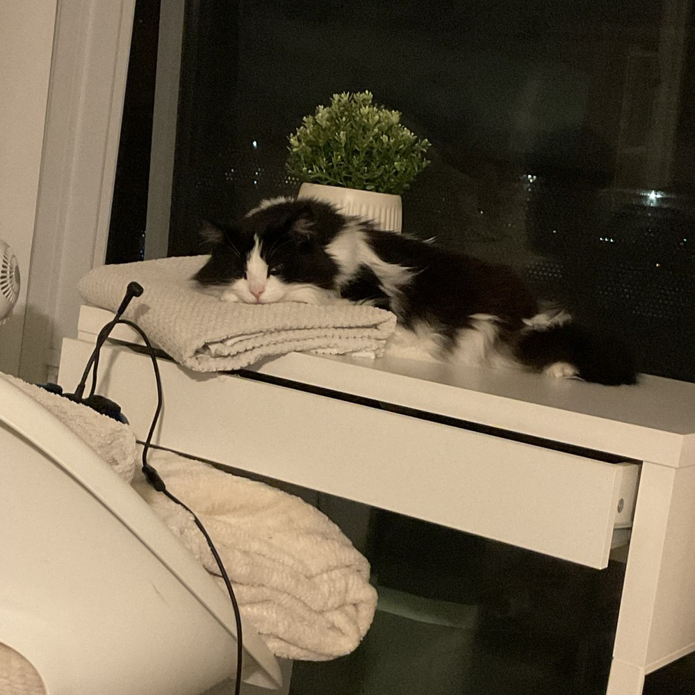 Meet your Posher, Abegail